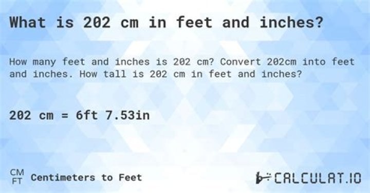 202 cm to feet 202 cm in feet