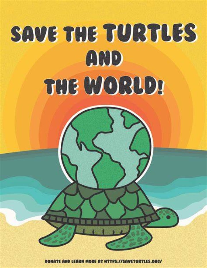 Are turtles a good sign?
