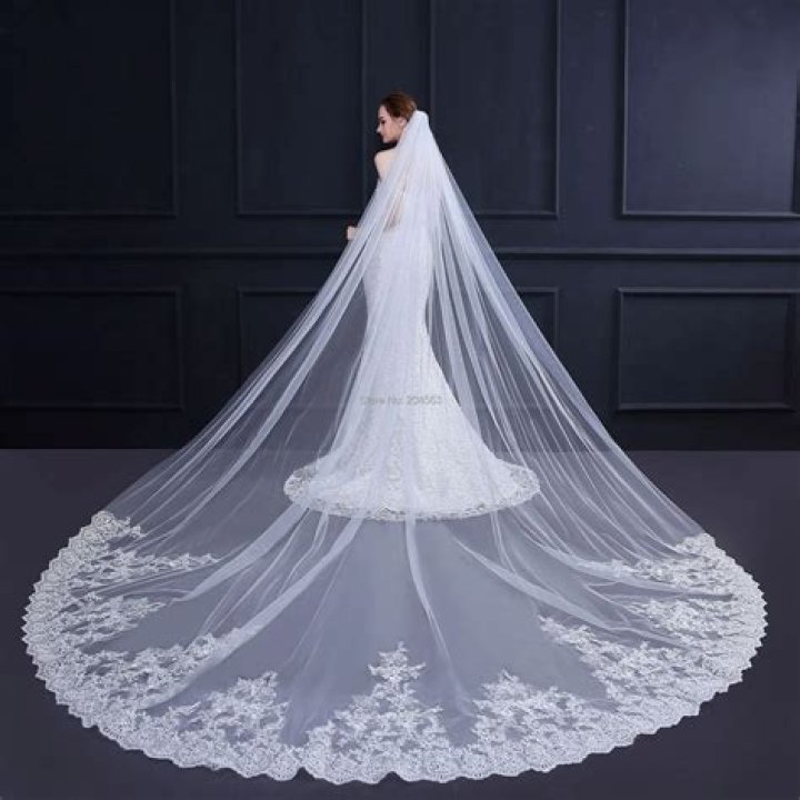 Bridal long tulle veil Bridal long tulle veil