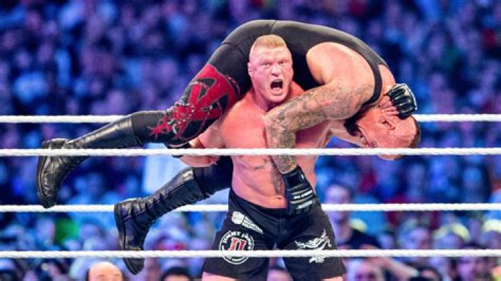 Brock Lesnar v Undertaker