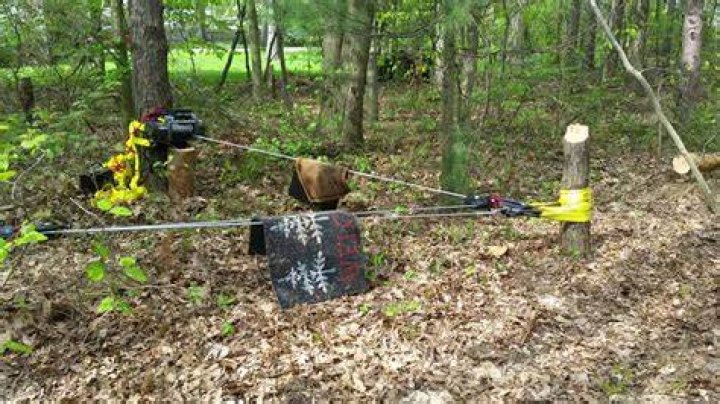 Can I use a winch to pull tree stumps?