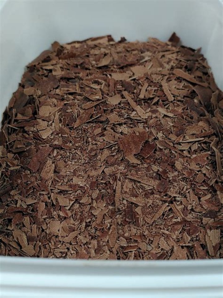 Couverture Chocolade Waar Te Koop? (Solution)