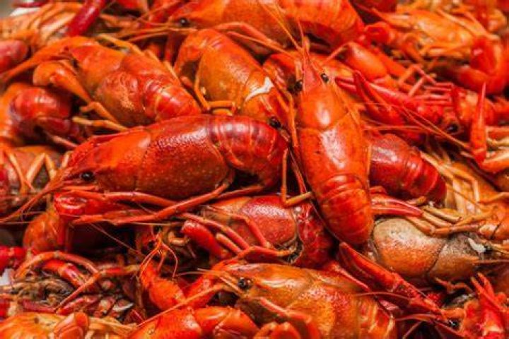 Do crawfish eat fruit?
