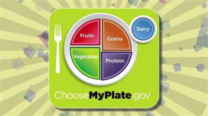 FIT KIDS | My Plate Food Groups