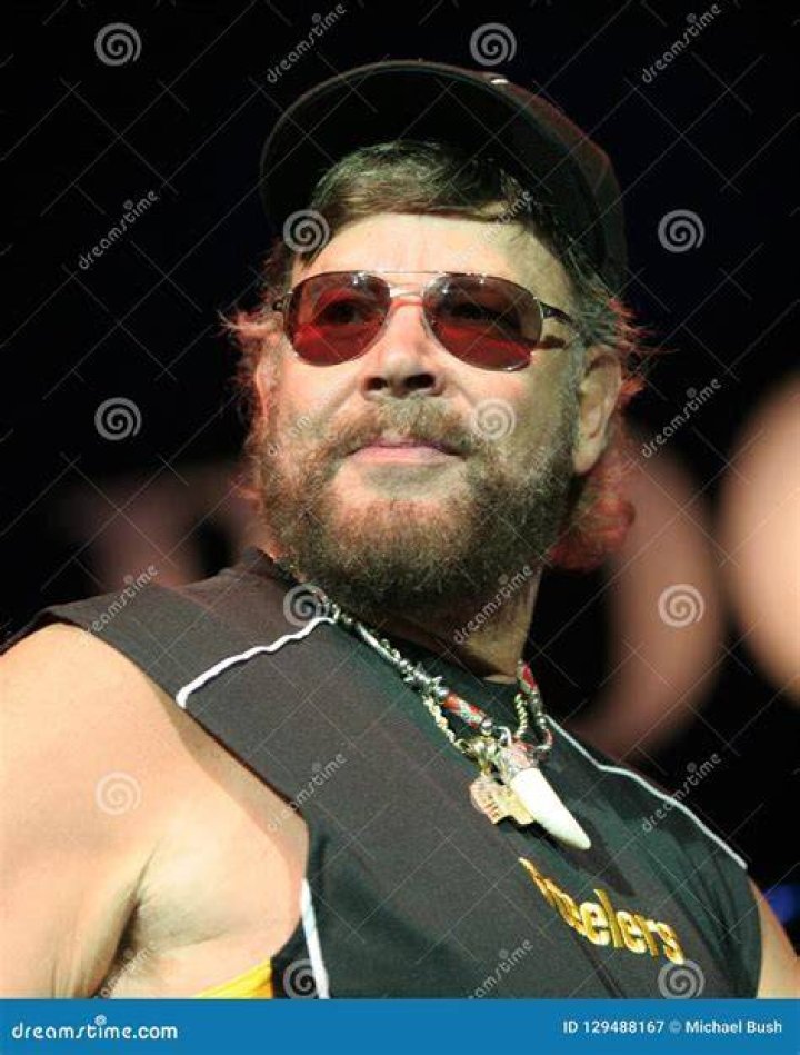 Hank Williams Jr. performs on stage