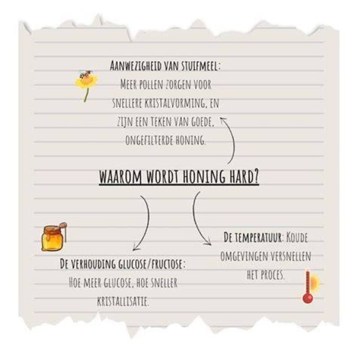 Hoe Maak Je Honing Hard? (Solution)