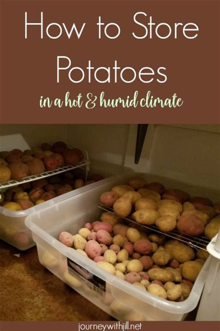 How Do You Store Potatoes In The Kitchen??