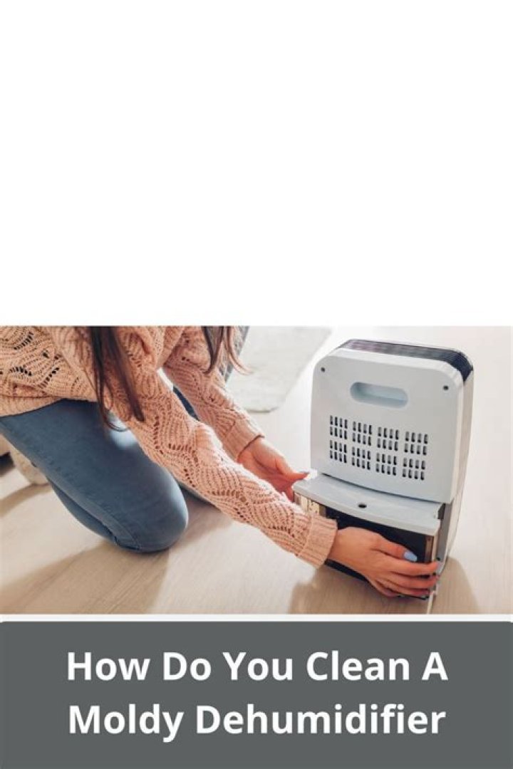 How do you unclog a dehumidifier?