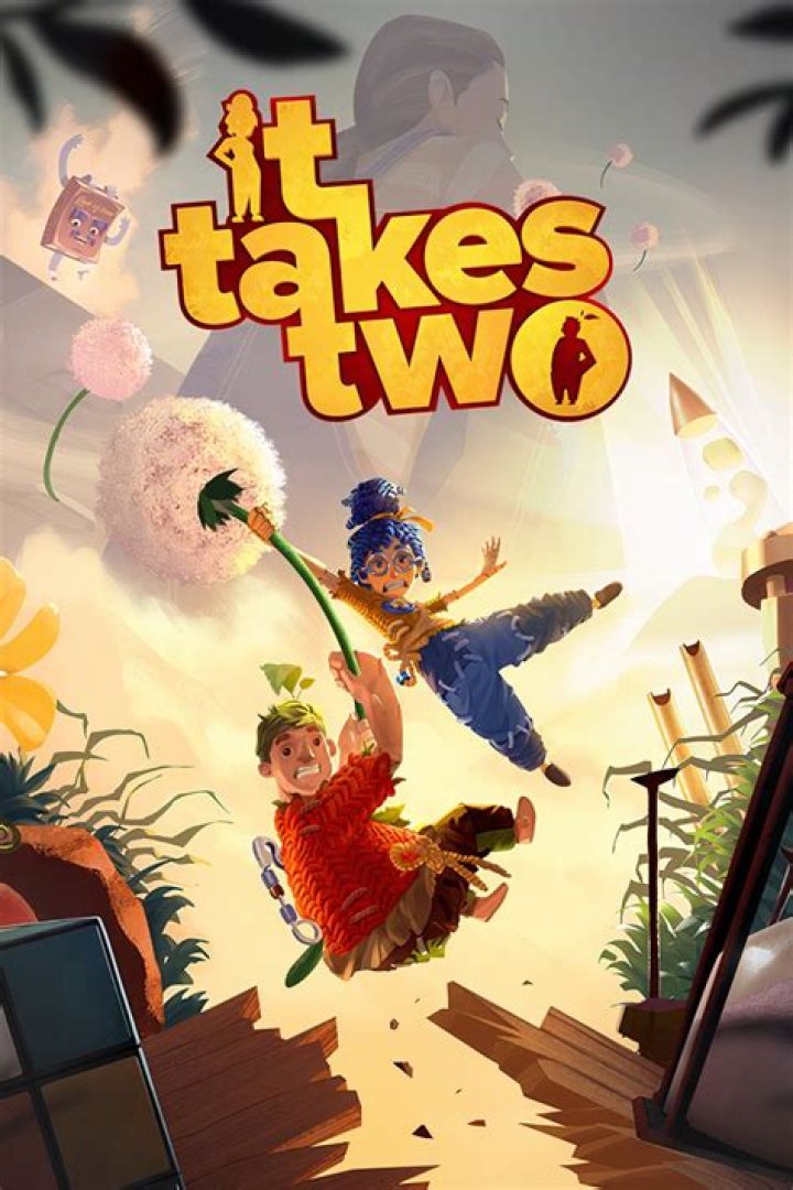 How does It Takes Two online co-op work?