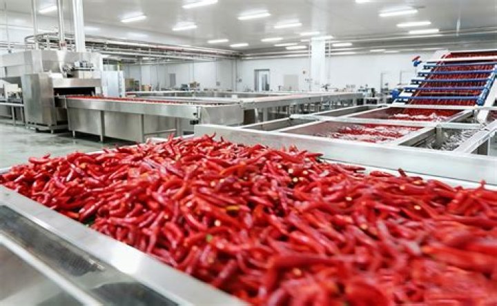 How Long To Process Hot Packed Sauce? (Solved)