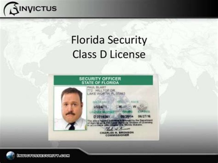 How much does a Class D security license cost in Florida?