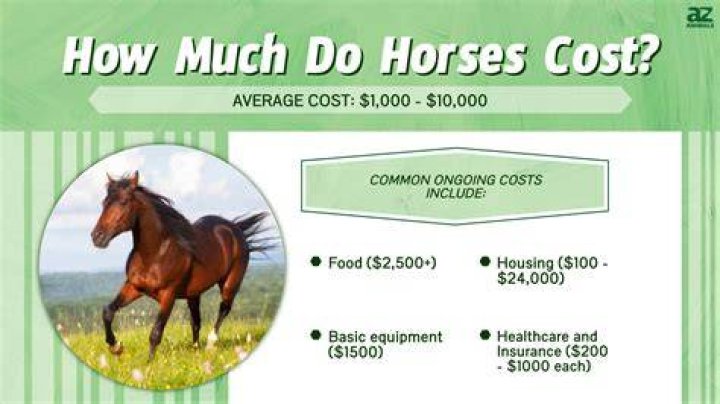 How Much Does NutriMost Cost?