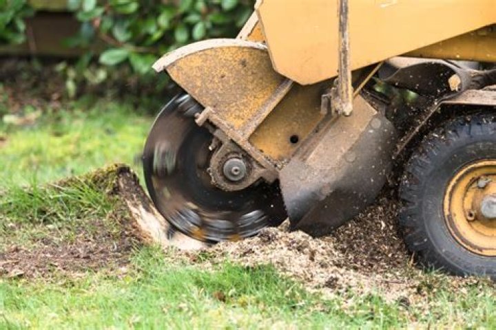 How much does small stump grinding cost?