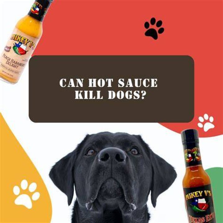 How Much Hot Sauce Can Kill You? (Correct answer)