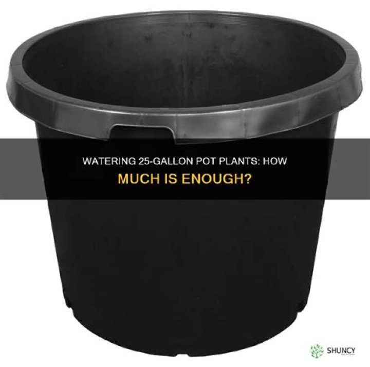How much water does a 7 gallon pot need?