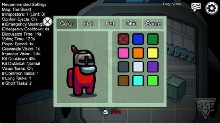 How To Get Custom Skins, Hats And Pets