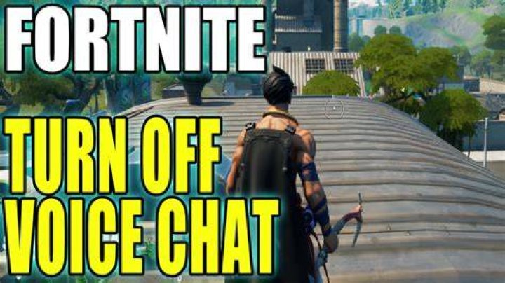 How To Turn off Voice Chat