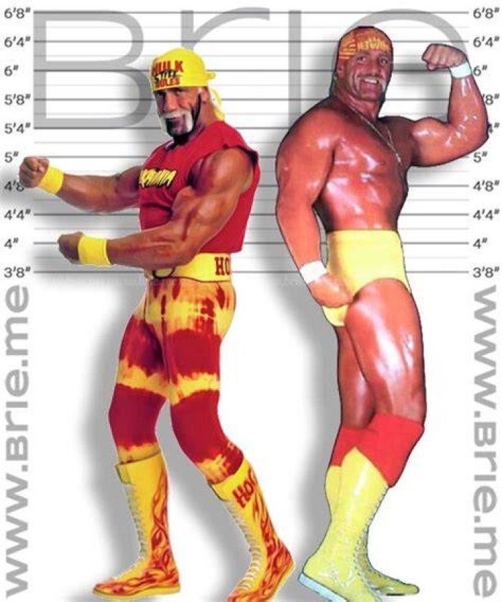 hulk hogan height comparison by giantmonster77 on DeviantArt