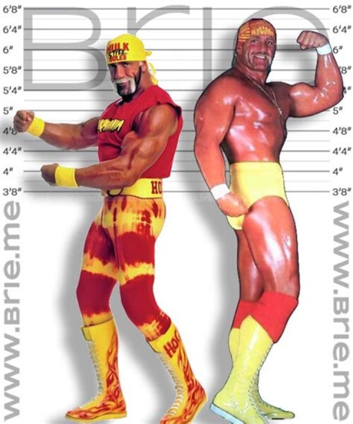 Hulk Hogan Height How Tall is Terry Eugene Bollea? Hulk hogan, Hulk