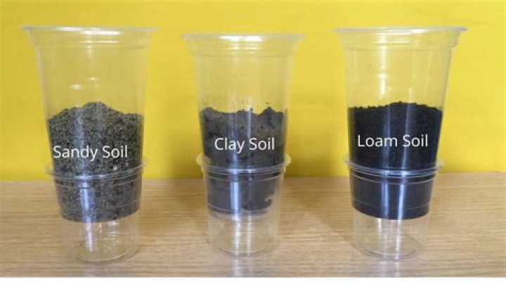 Is sand heavier than soil?
