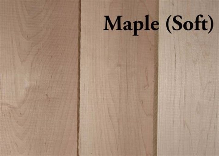 Is Soft Maple a hard wood?