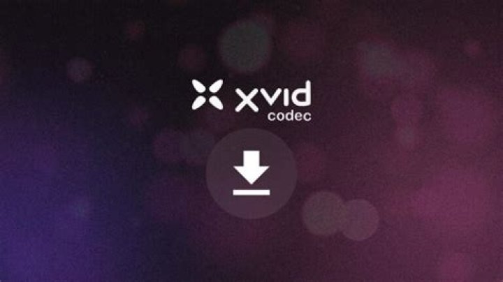 Is Xvid codec safe?