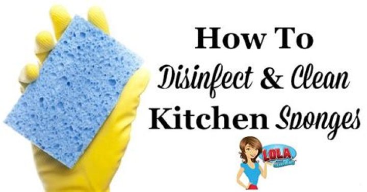 Question: How Do You Disinfect A Sponge??
