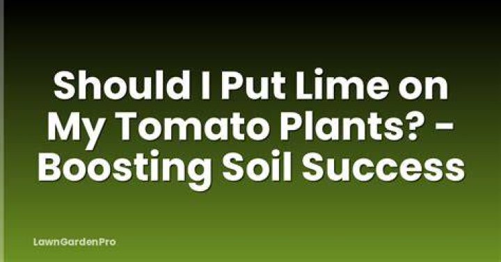 Should I put lime on my tomatoes?