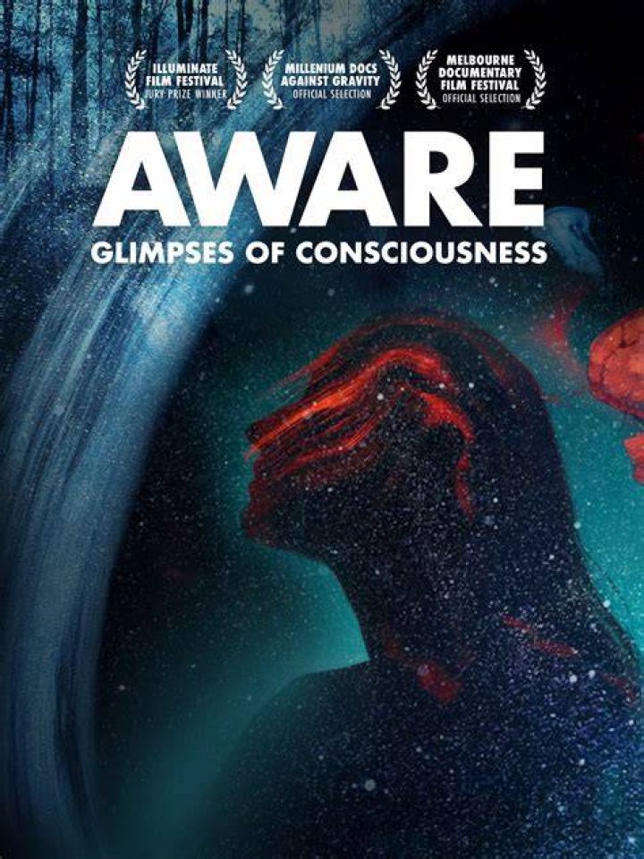Thumbnail for: Aware: Glimpses of Consciousness