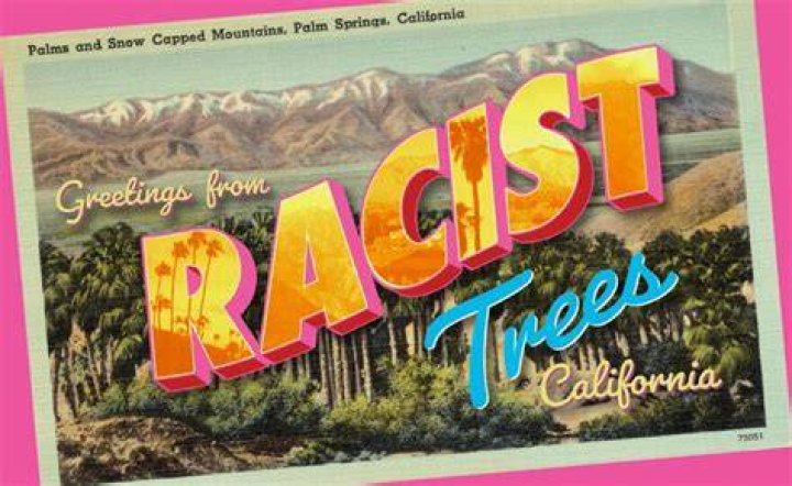 Thumbnail for: Racist Trees
