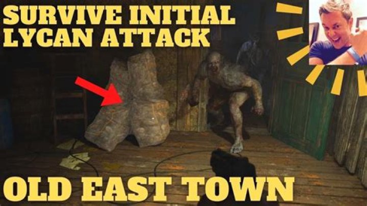 Tips for Surviving the Lycan Town Attack