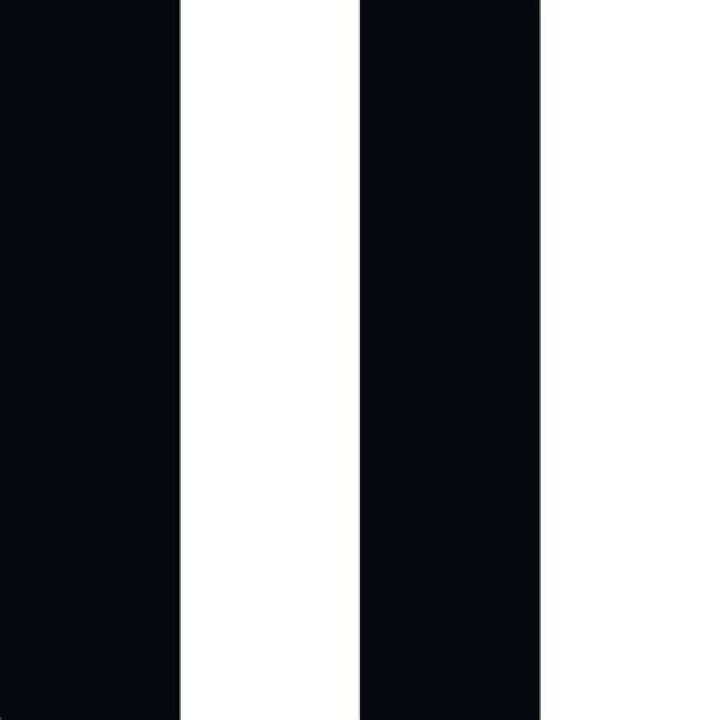 Two White Stripes seven-inch records two white stripes seven inch records