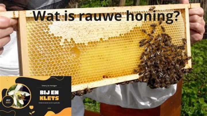 Waar Honing Kopen? (Perfect answer)