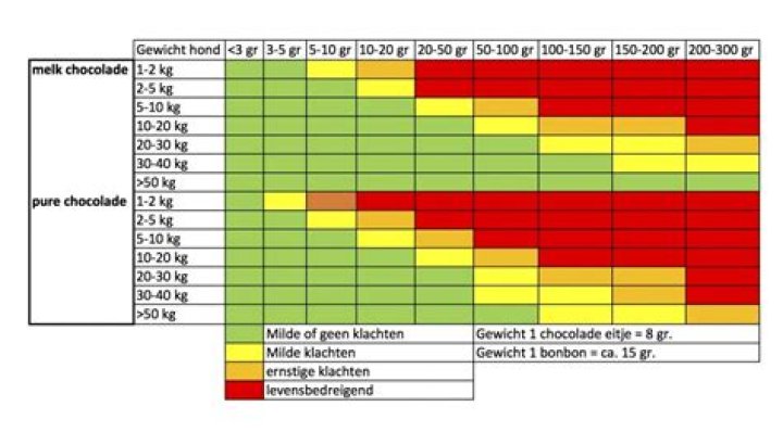 Wat Gebeurt Er Als Hond Chocolade Eet? (Question)