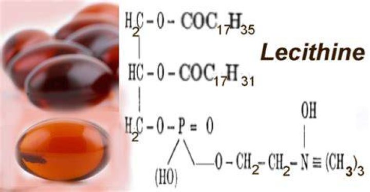 Wat Is Lecithine In Chocolade? (Perfect answer)