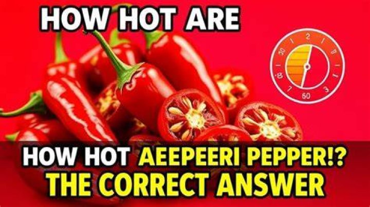 What Are Peri Peri Chippers? (Correct answer)