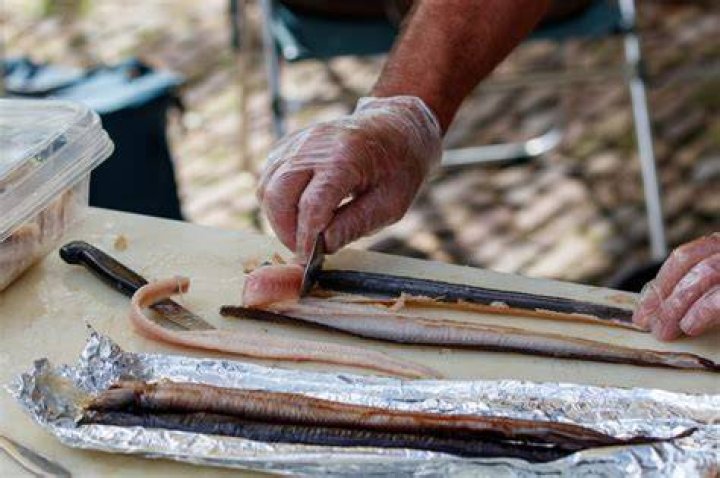 What do walleye fish taste like?