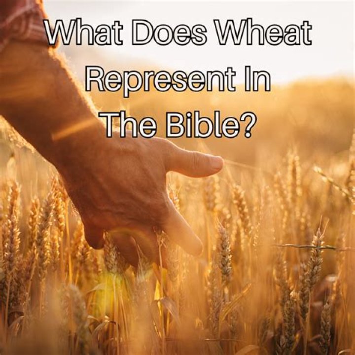 What does a wheat stalk represent?
