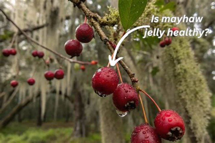 What does mayhaw taste like?