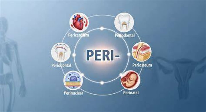 What Does Peri Bronchial Mean? (Best solution)