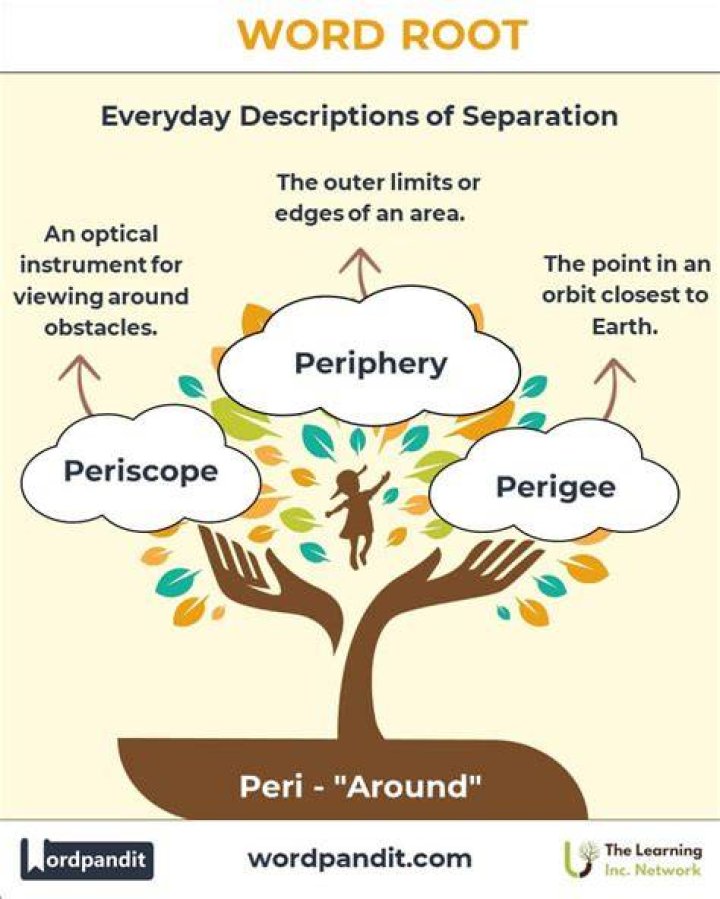 What Does Peri Mean Root Word? (Question)