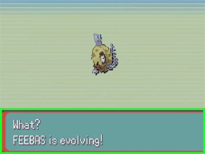 What does shiny Feebas evolve into?