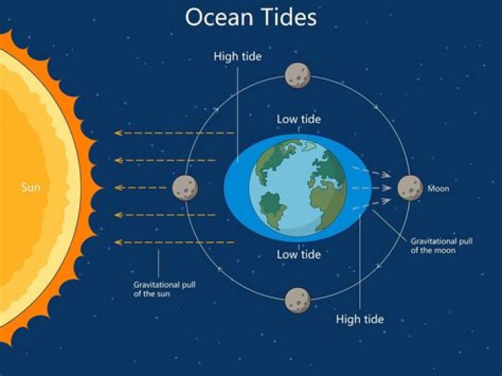 What factors affect the tides?