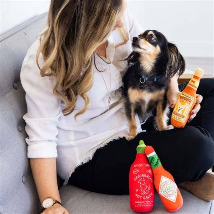 What Happens When A Dog Eats Tabasco Sauce? (Correct answer)