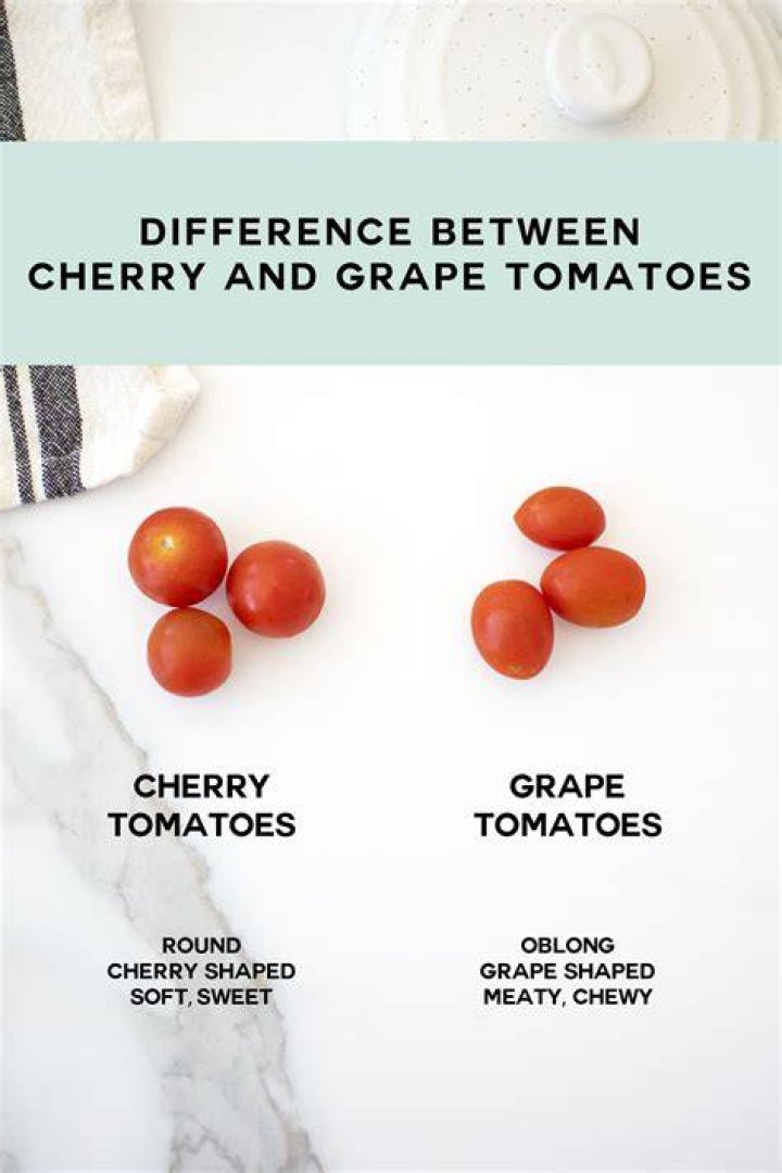 What is the difference between cherub and glory tomatoes?