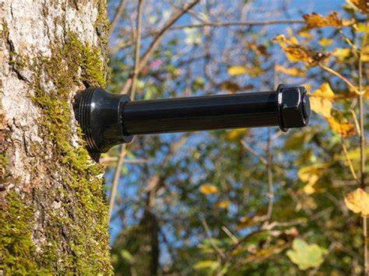 What screws are safe for trees?