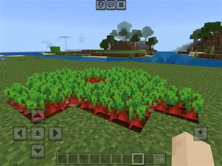 When were beetroots added to Minecraft?