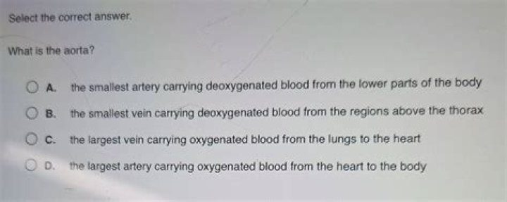 Where Is The Peri Aorta? (Correct answer)