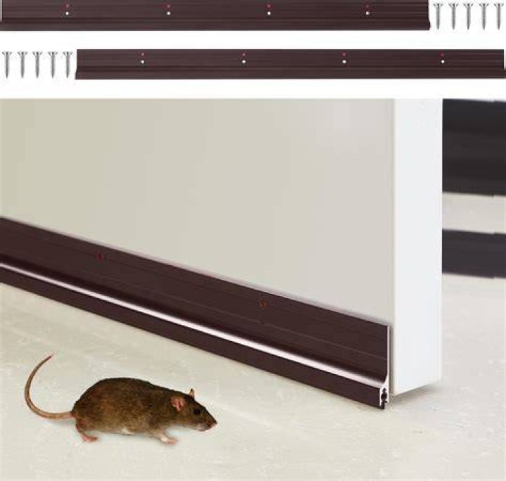 Will a door sweep keep mice out?